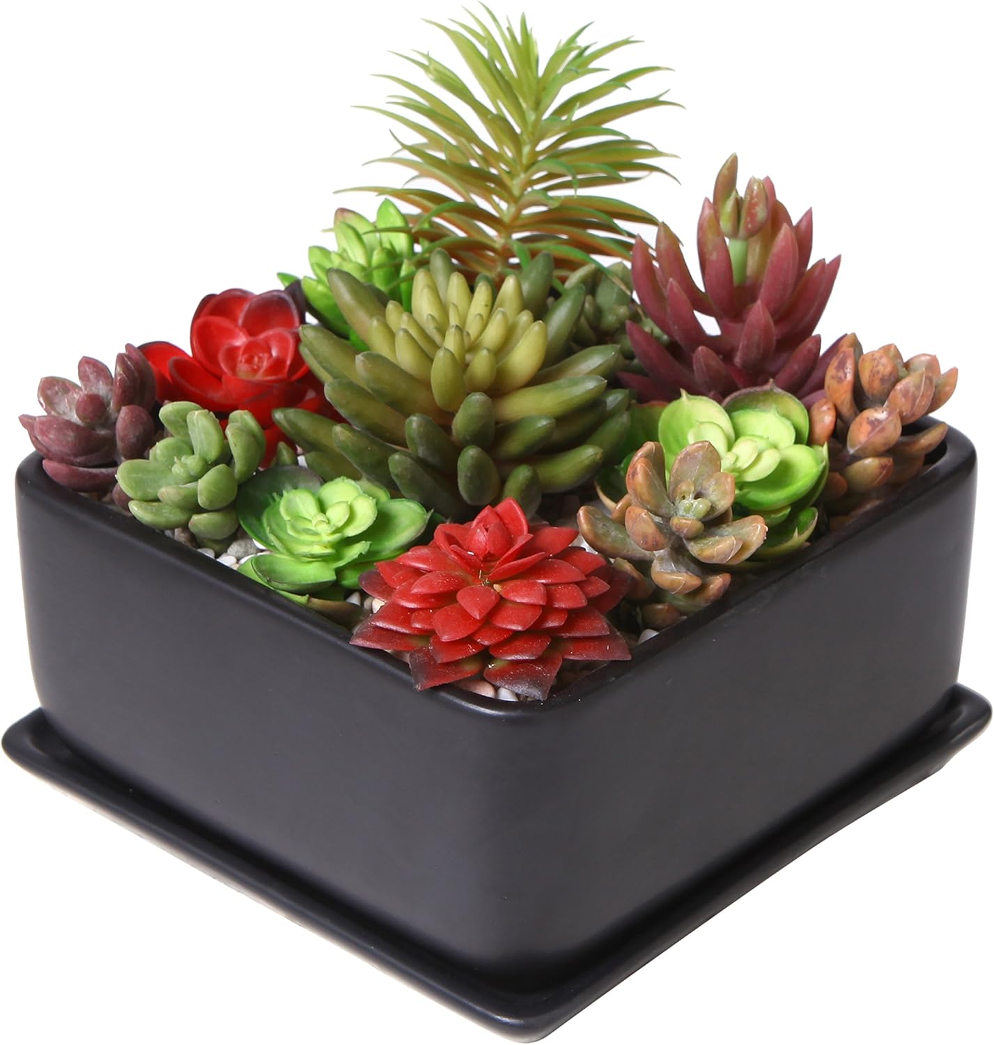 Modern 7 inch Square Ceramic Succulent Planter Pot with Drainage Tray, Window Box & Saucer, Matte Black