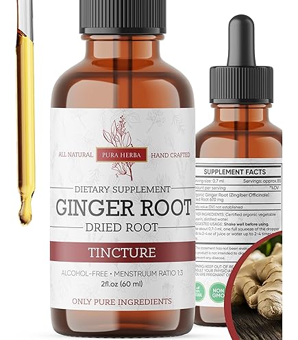 Amazon.com: Horbäach Ginger Root Extract Liquid | 2 oz | Alcohol