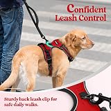 rabbitgoo Large Dog Harness No Pull Reflective Front Back Clip Adjustable XL Red view 7