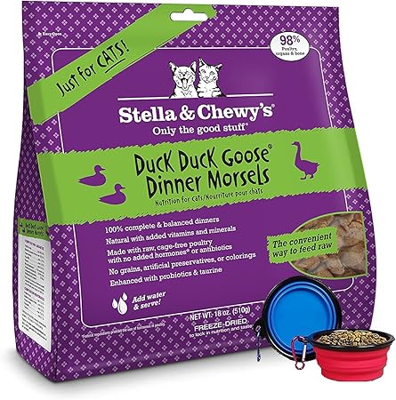 good snacks for cats