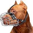 CleverTail Large Pitbull Muzzle to Prevent Biting - Metal Basket Muzzle for Pitbull with Adjustable Leather Straps - Cage Dog Muzzle for Large Sized Dogs Pitt Bull, Cane Corso, American Bully