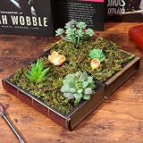 WINOMO Artificial Moss 60g Decorative Green Moss for DIY Landscaping view 3
