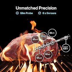 Typhur Sync One Smart Wireless Meat Thermometer
