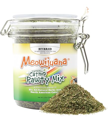 Amazon.com: Zoom Around THE Room Organic Catnip : Pet Supplies