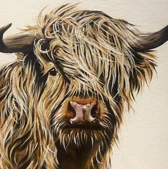 ARjzap DIY oil painting kit Highland Cattle Paint By Number Kits With