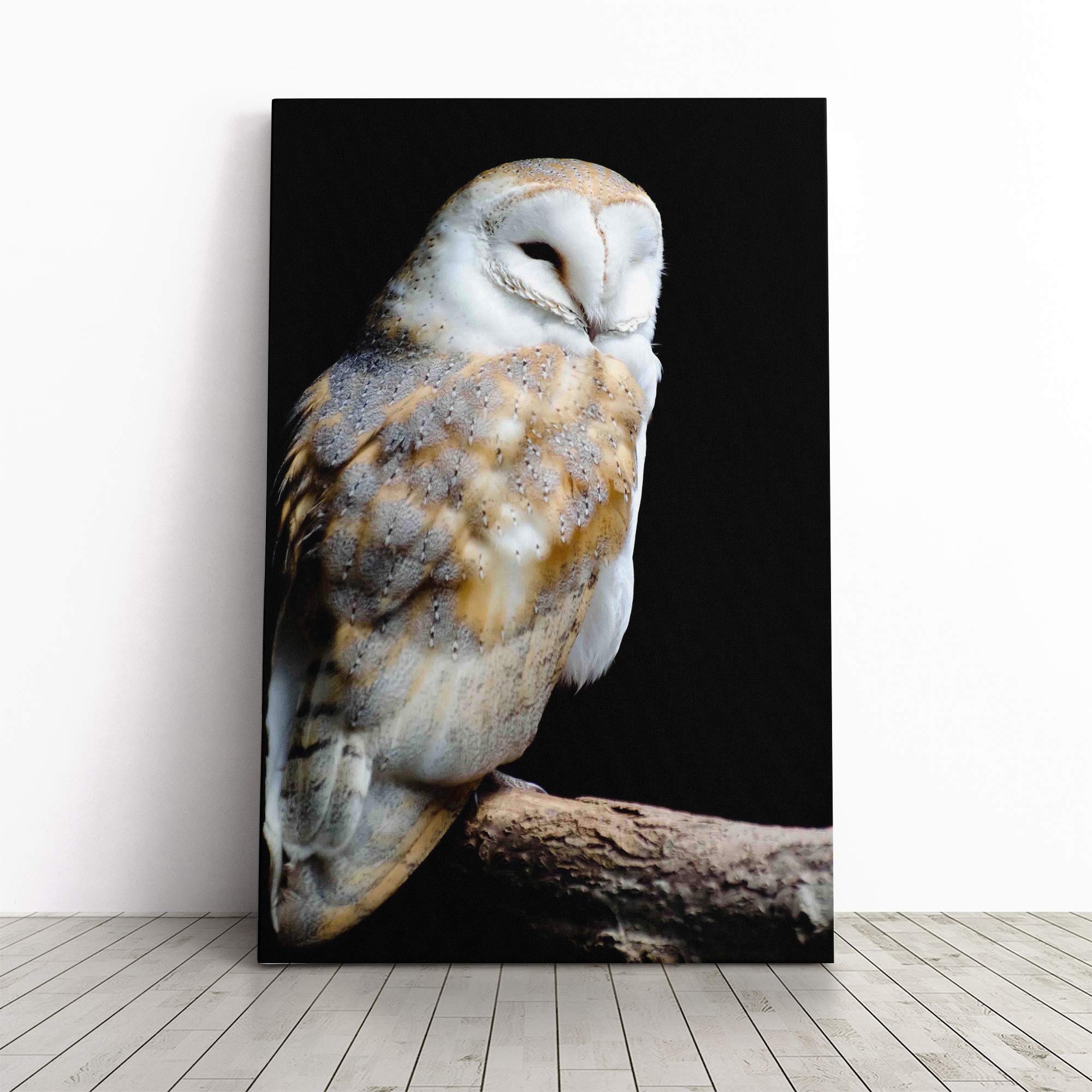 Barn Owl Bird (1) Canvas Print | Gallery Wrapped 30mm Frame Wall Art | 20x14 inches | Ready to Hang | Modern Animals Picture | Living Room Bedroom Lounge Office