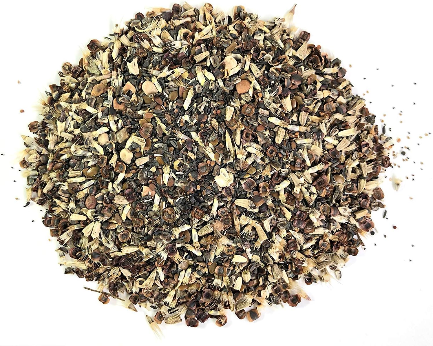 Texas Oklahoma Wildflower Seeds Mixture Bulk 1 Pound