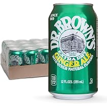 Amazon.com : Dr. Brown's Ginger Ale Soda - A New York Original ...