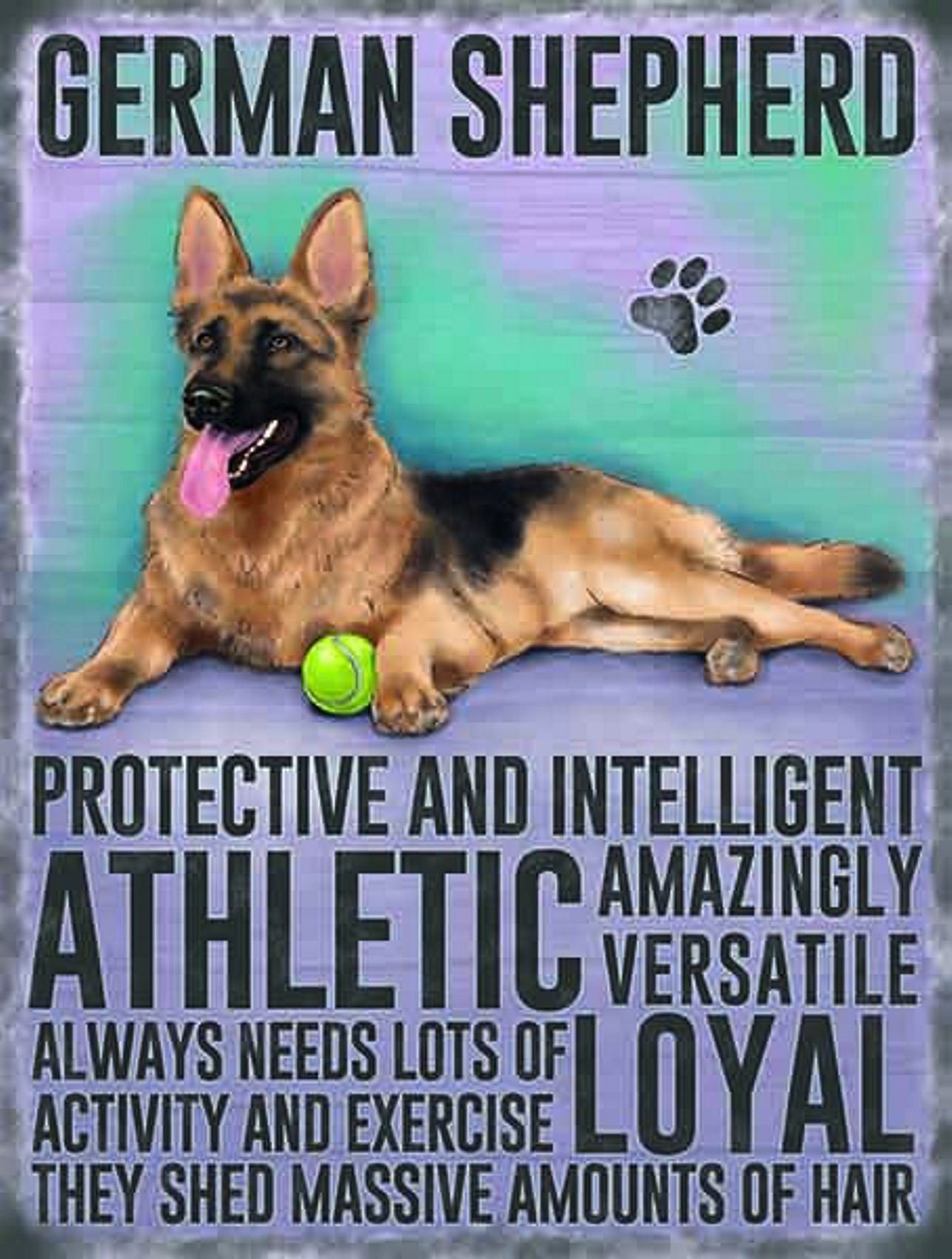 Vintage Style Retro Metal Sign Dog Lovers Owners Gift Tin Pedigree Dogs GERMAN SHEPHERD/ALSATIAN
