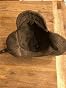 Casquette bec de canard simili cuir marron - casquette cuir par Herman