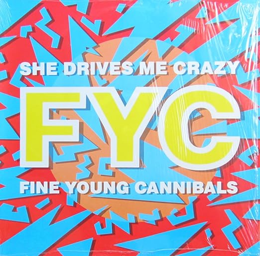 Fine Young Cannibals She Drives Me Crazy Traduzione