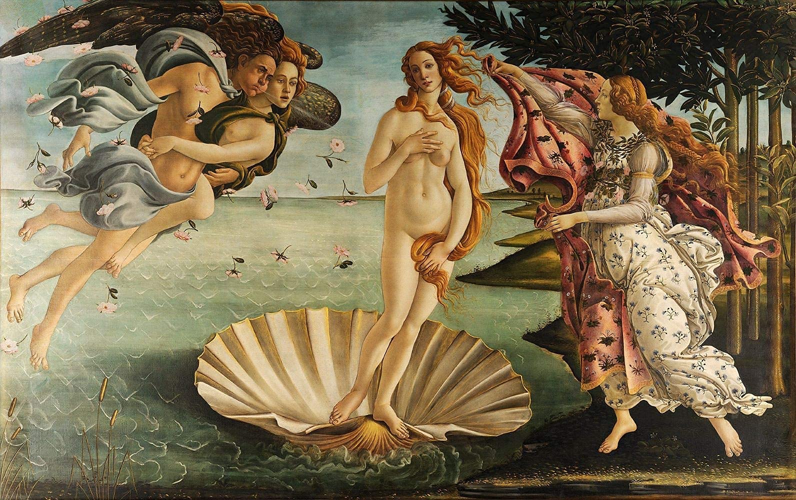 View 7