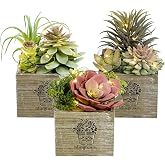 Mingfuxin Artificial Plants Indoor with LED Lights, Small Fake Plants | Light Up Artificial Succulents in Pots, Fake Succulents for Bedroom Bathroom Desk Living Room Office Home Decor, 3 Pack
