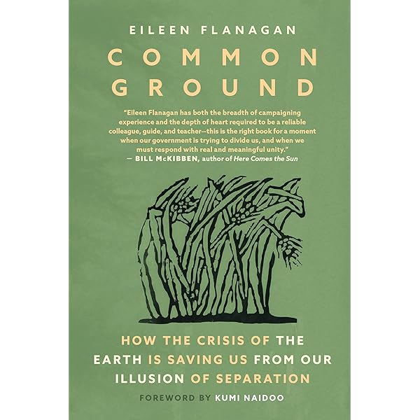 洋書 Digital Compensation for Analog Front Amazon | Digital Compensation for Analog Front-Ends: A New