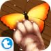 Cats Joy 3 - Tap And Catch