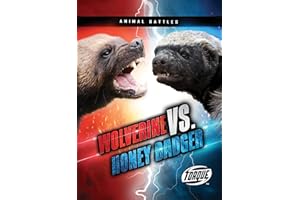 Wolverine vs. Honey Badger (Animal Battles)