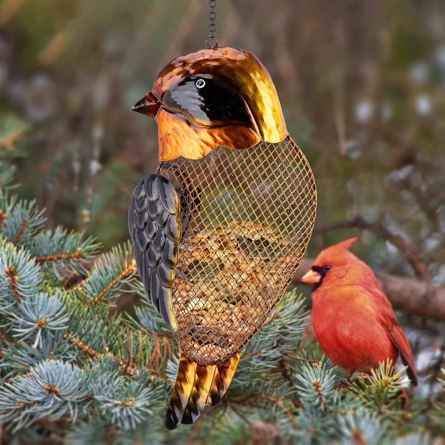 Backyard Birding & Wildlife - WONDER GARDEN Bird Feeder- Bird Feeders for Outdoors Hanging - Robin Bird Metal Squirrel Proof Bird Feeders for Garden Yard Decor