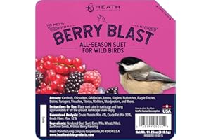 Heath Outdoor Products DD-15 Berry Blast Suet Cake, Case of 12, 0.75 lb