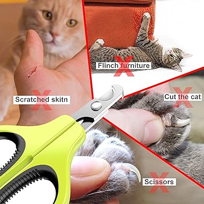 Buy Jofuyu Cat Nail Clippers And Trimmer Professional Pet Nail Clippers And Claw Trimmer Best Cat Claw Clippers For Rabbit Puppy Kitten Kitty Guinea Pig Small Dog Sharp Safe