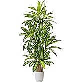 Warmplants Artificial Dracaena Tree 6ft, Fake Yucca Plant with White Planter and Lifelike Leaves, Faux Dracaena Tall Floor Trees for Home Office Garden Décor