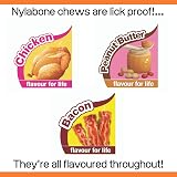 Nylabone Extreme Tough Dog Chew Toy Bones Peanut Butter Chicken Bacon 3-Piece view 5