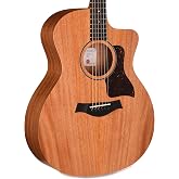 Taylor 24ce Grand Auditorium Acoustic-electric Guitar - Natural