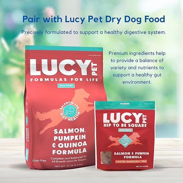 LUCY PET HIP TO BE SQUARE SALMON AND PUMPKIN DOG TREATS 6OZ