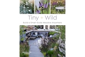 Tiny and Wild: Build a Small-Scale Meadow Anywhere