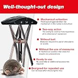 SWISSINNO SuperCat Mole Trap Heavy Duty Claw Catcher Reusable 1 Piece view 3