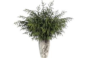 FOTEEWL Real Touch Norfolk Pine Branch - 36" Artificial Christmas Green Plants Branches Faux Greenery Stem Fake Pine Picks for DIY Crafts Garland Wreath Xmas Indoor Outdoor Home Decor (8 Pcs)
