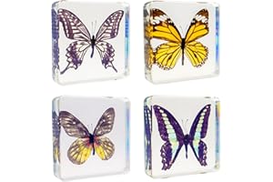 EJLIFEBOX 4 PCS Butterfly Specimen Set, Danaus Genutia, Graphium Sarpedon, Asian Swallowtail, Delias Pasithoe Butterfly Resin Collection Science Toys