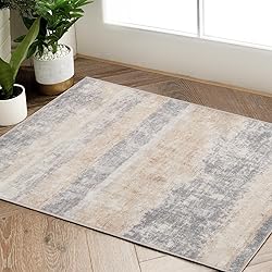 jinchan Area Rug 2x3 Washable Rug Doormat Modern