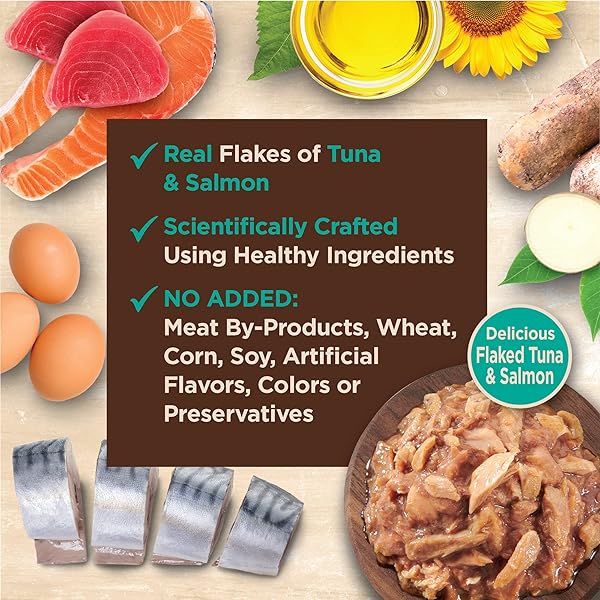 WELLNESS CORE TINY TASTERS FLAKED ADULT WET CAT FOOD, NATURAL, PROTEIN RICH, GRAIN FREE, TUNA AND SALMON RECIPE, 1.75 OZ, PACK OF 12 POUCHES