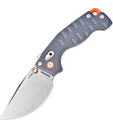 Amazon.com: Petrified fish PFP13 Viper 3.5