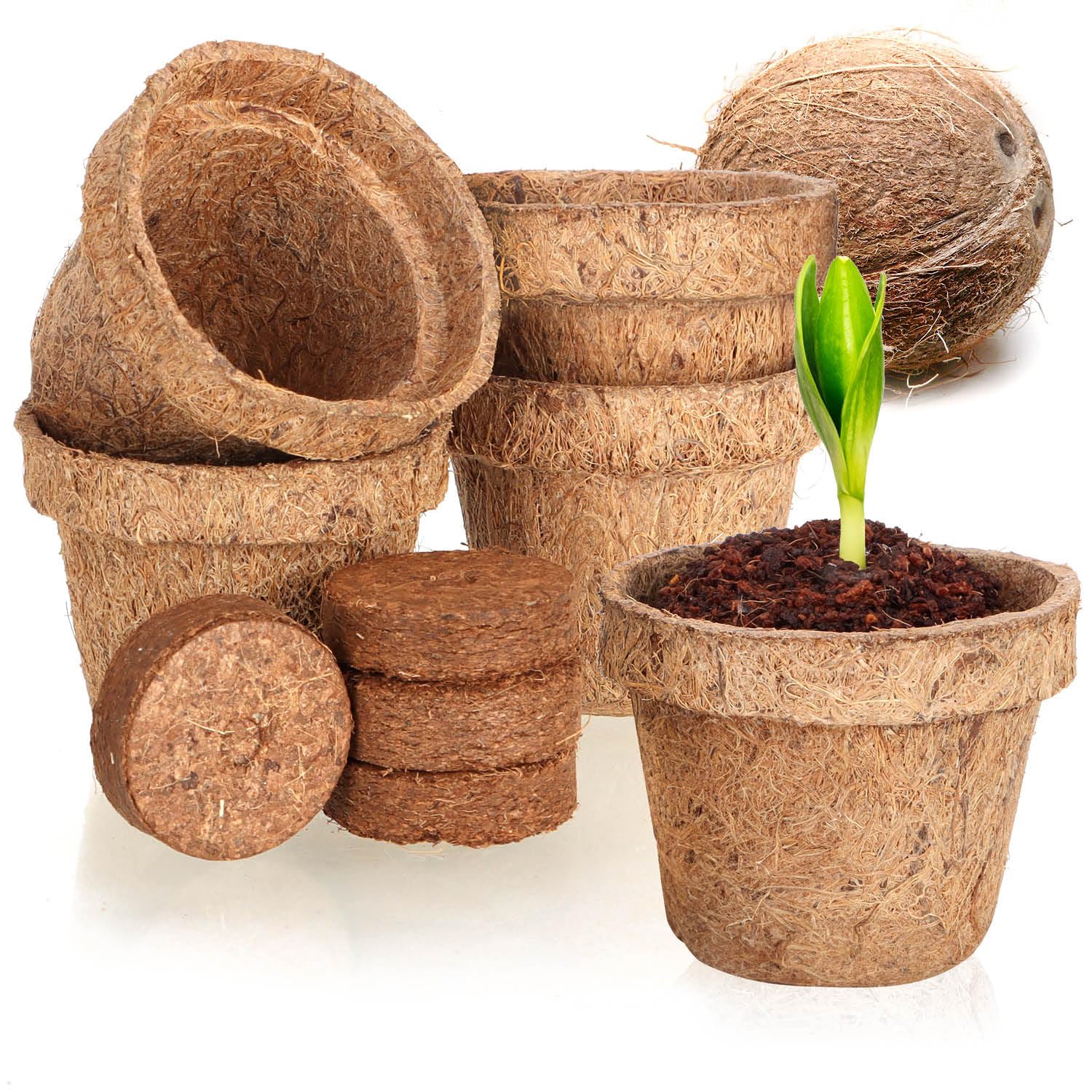 com-four® 10-piece coconut cultivation set - biodegradable coconut discs in a pot - cultivation aid consisting of 5 swelling tabs and 5 pots - planting bowls made of coconut fiber