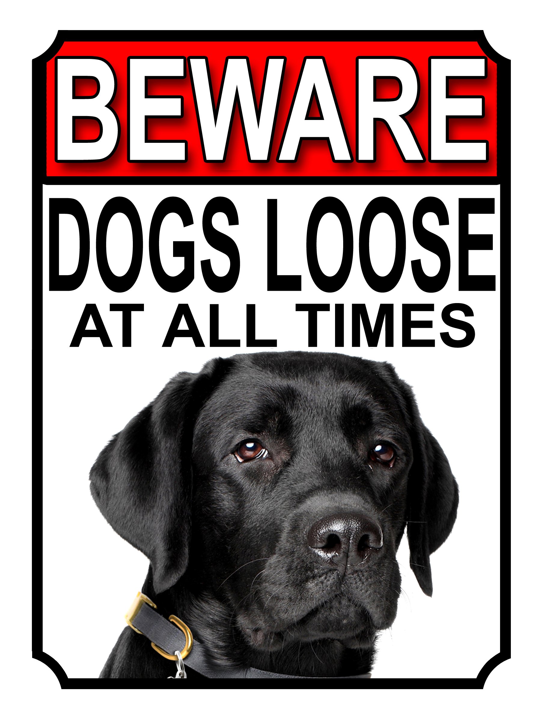 SHAWPRINT BEWARE DOGS LOOSE AT ALL TIMES METAL SIGN BLACK LABRADOR 200MM X 150MM (976H1)