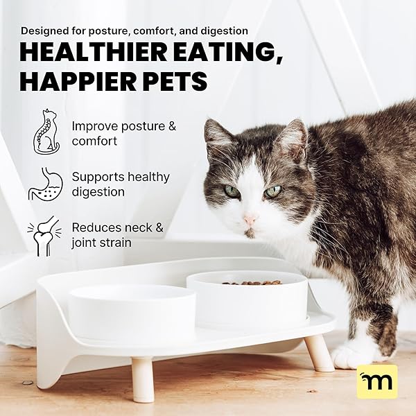 MALSIPREE ELEVATED DOG BOWLS – PUPPY ADOPTION GIFTS & CUTE PUPPY ACCESSORIES – 45° TILT FEEDING STATION WITH CERAMIC DISHES – FOOD AND BOWLS SET – DOG BIRTHDAY GIFTS FOR SMALL PETS – SAND BEIGE