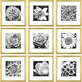 Yaetm Gold 12x12 Picture Frames Set of 9, Square Frame Displays 8x8 with Mat or 12x12 without Mat, Gallery Wall Frame Set for Wall Mounting (9 pack, Gold)
