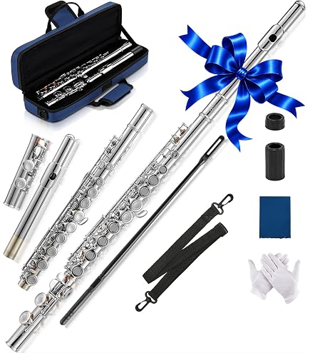Amazon.com: Trevor James 10X Flute with Curved & Straight