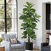 Fsslower Artificial Fiddle Leaf Fig Tree 6FT with Thick 148 Leaves Tall Large Fake Faux Tropical Ficus Lyrata Potted Plant 72 Inch Black Pot for Indoor Home Office Store Corner Decor Housewarming Gift