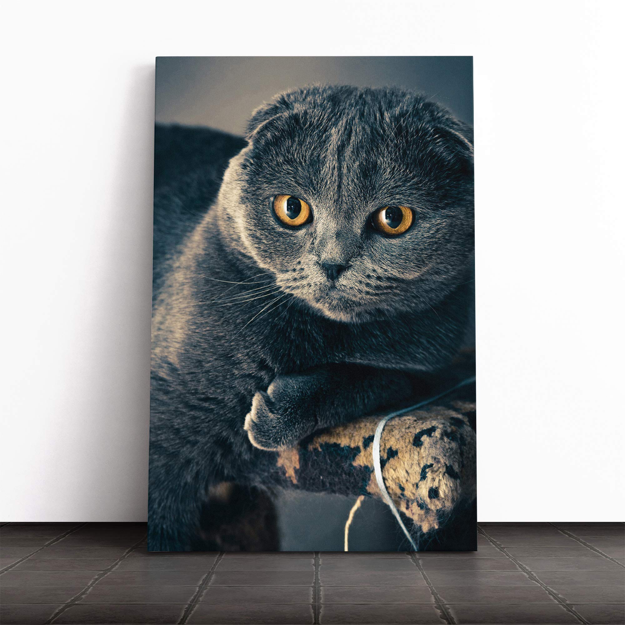 Scottish Fold Cat Canvas Print | Gallery Wrapped 30mm Frame Wall Art | 20x14 inches | Ready to Hang | Modern Animals Picture | Living Room Bedroom Lounge Office