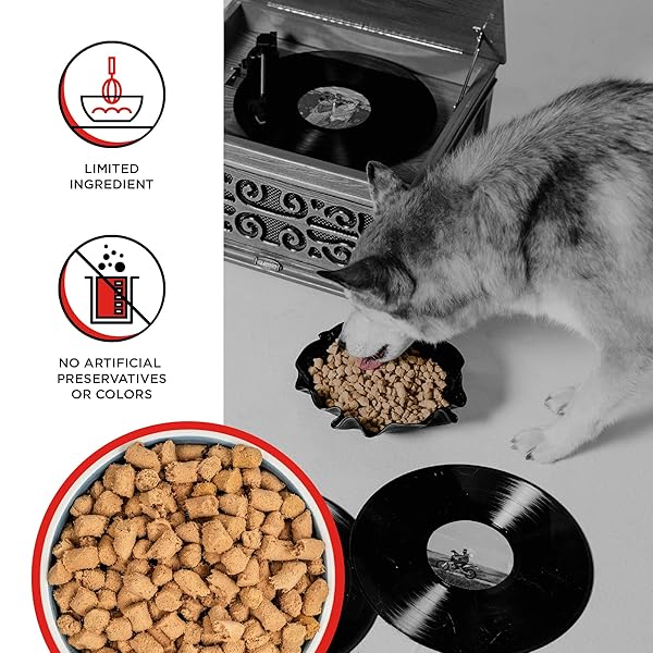 BIXBI LIBERTY FREEZE-DRIED DOG FOOD TOPPER & TREATS, BEEF – 98% MEAT & ORGANS, NO REFRIGERATION – USA MADE, 12 OZ
