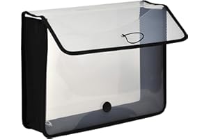 Lion Expand-N-File Poly Expanding Wallet, Letter (9-1/2 X 12-Inch), 3-Inch Gusset, Clear, 1 Wallet (48160-CR)