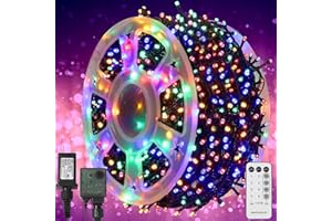 WATERGLIDE 1000 LED Christmas String Lights, 328 FT Green Wire LED Decorative Fairy Lights with Remote & 8 Modes, Waterproof for Outdoor Xmas Holiday Party Garden Wedding Home Decor, Multicolor