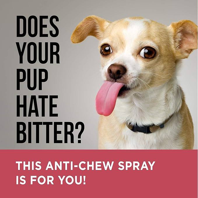 natural dog repellent for chewing