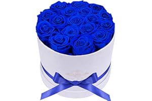 PRIFROTI Forever Real Roses in Suede Box - 17-Piece Roses in a Box - Real Preserved Roses That Last Over a Year - Preserved Flowers for Delivery Prime - Valentine's Day, Birthday, Mother's Day (Royal Blue)