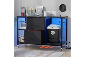 Hyomdeck Lateral File Cabinet 2 Drawer with LED Light and Outlet, Rolling Filing Cabinets for Home Office, Mobile Shredder Printer Stand with Storage, Office Furniture for Letter Legal Size, Black