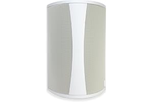Definitive Technology AW6500 Outdoor Speaker - 6.5-inch Woofer, 200 Watts, Built for Extreme Weather, Single, White