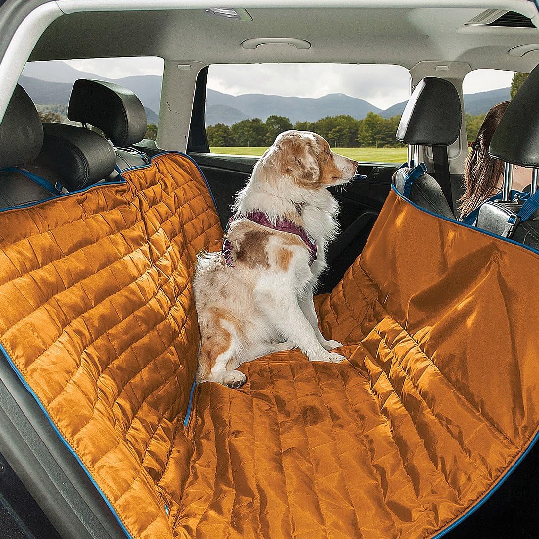 Kurgo Loft Hammock, Dog Car Seat Protector, Water- and Stain-Resistant, Secure Fit, Reversible, Blue/Orange - Image 3