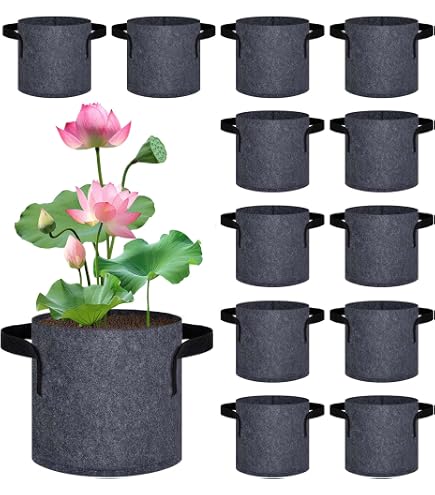 Aquascape Wasserpflanzentöpfe – 35,6 X 17,8 Cm, 2 Stück, Für Teiche